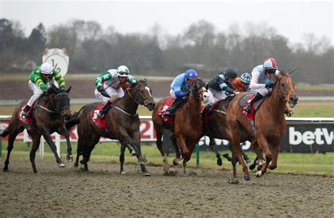 racing results at lingfield today